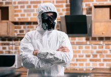 Cele mai eficiente metode de dezinsecție pentru locuințele din București