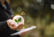 Digitalizarea proceselor de mediu: de la tabele și documente dispersate la platforme integrate